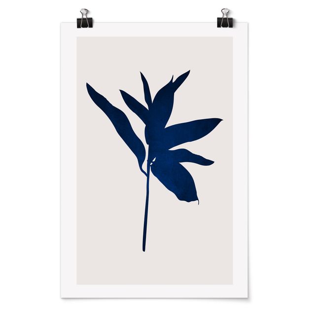 Billeder blomster Graphical Plant World - Blue