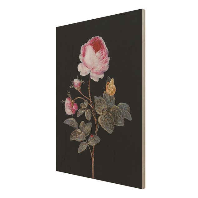 Prints på træ blomster Barbara Regina Dietzsch - The Hundred-Petalled Rose