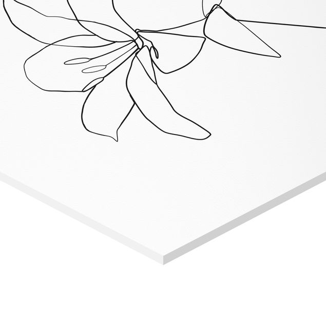 Forex Line Art Flowers Black White Set