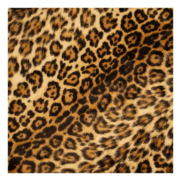 Møbelfolier Jaguar Skin
