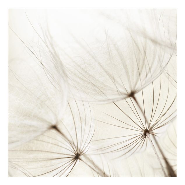 Selvklæbende folier hvid Gentle Grasses