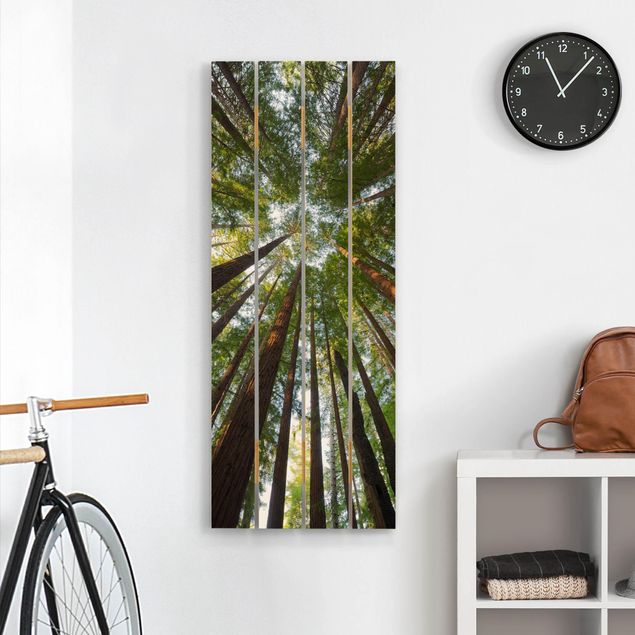 Prints på træ landskaber Sequoia Tree Tops