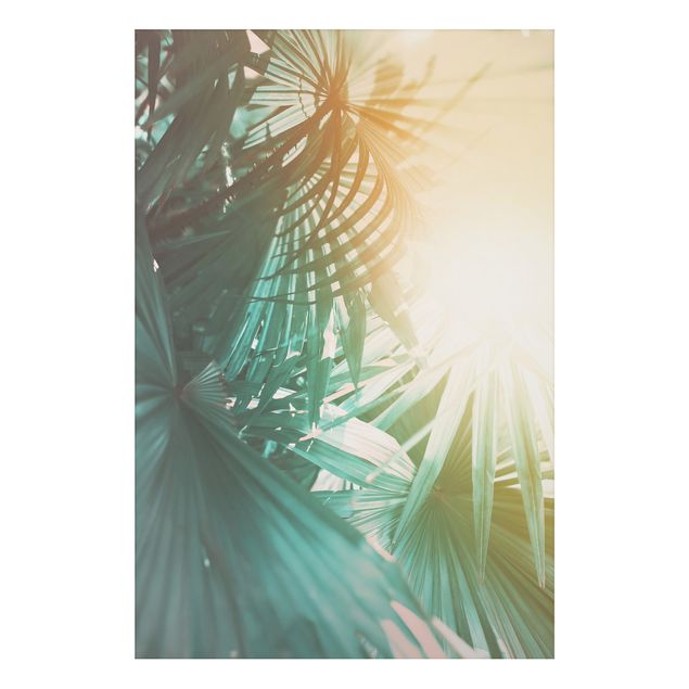 Billeder landskaber Tropical Plants Palm Trees At Sunset