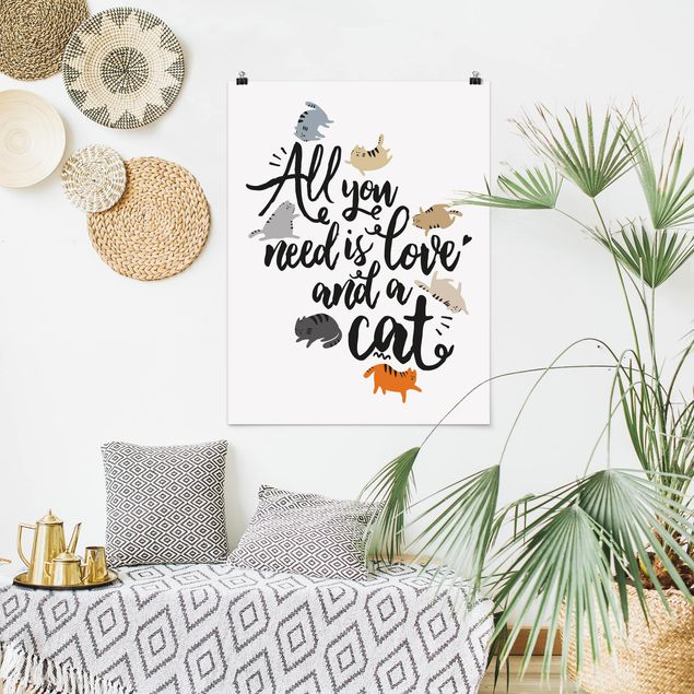 Billeder katte All You Need Is Love And A Cat