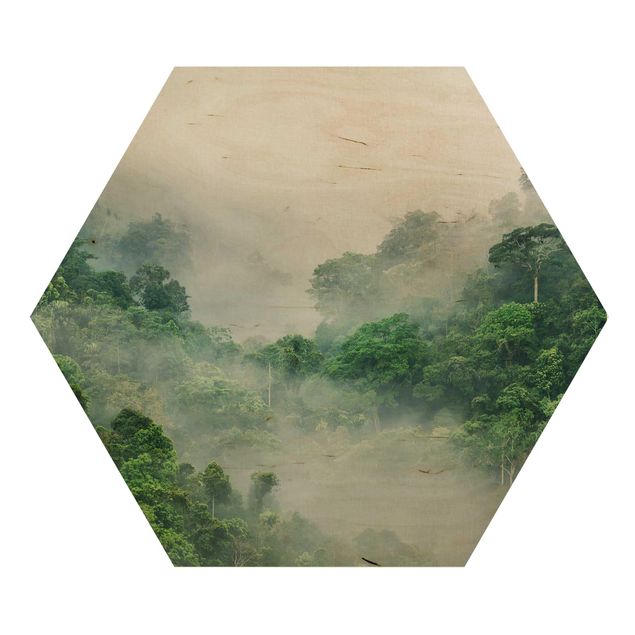 Sekskantede billeder Jungle In The Fog