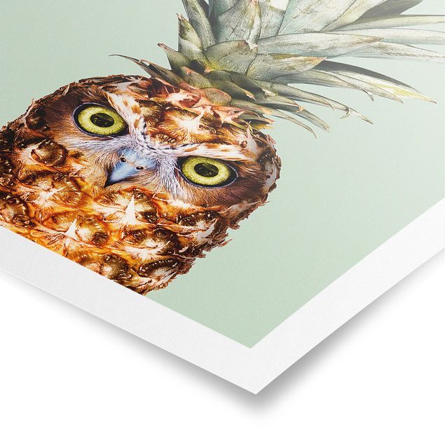 Billeder grøn Pineapple With Owl