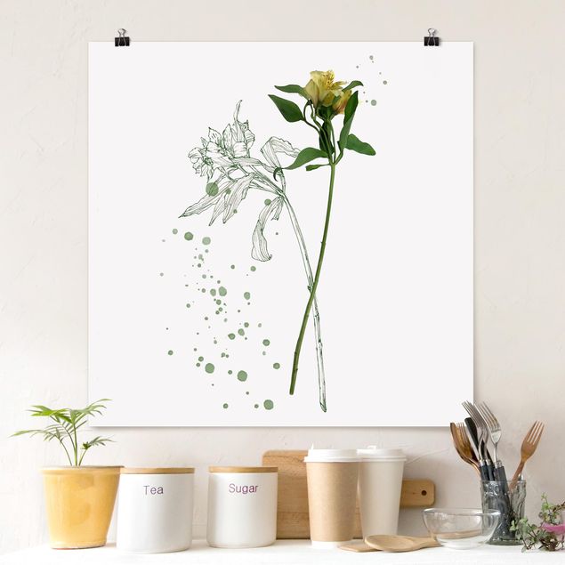 Plakater blomster Botanical Watercolour - Lily