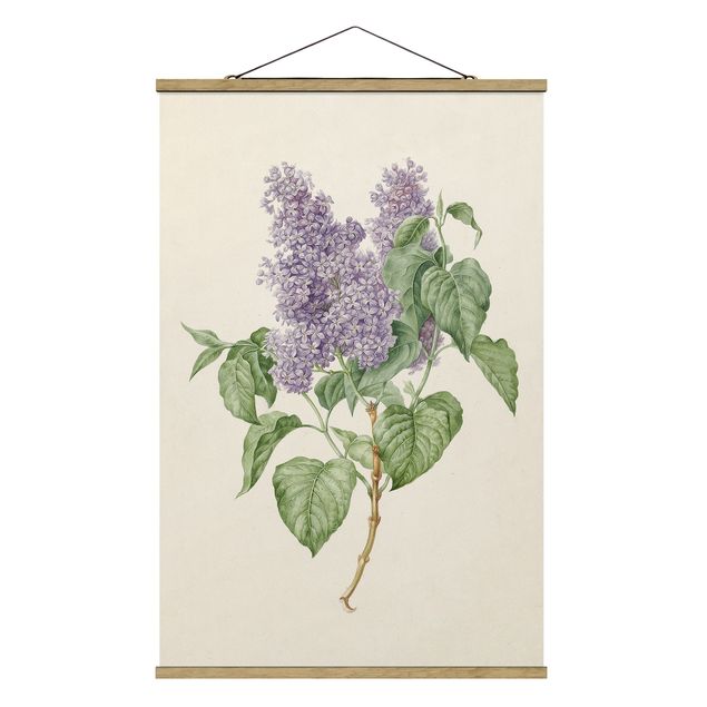 Billeder blomster Maria Geertruyd Barber-Snabilie - Lilac