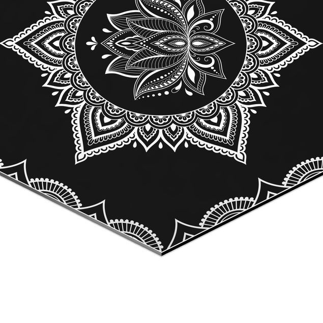 Billeder Lotus OM Illustration Set Black