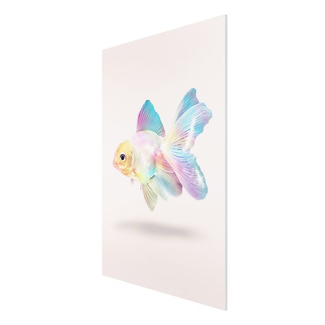 Billeder kunsttryk Fish In Pastel