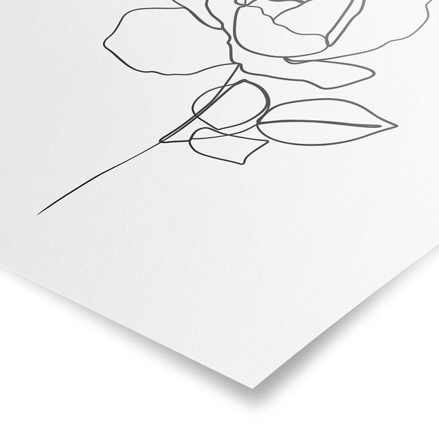 Billeder blomster Line Art Rose Black White