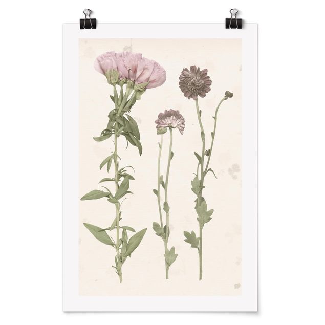Billeder blomster Herbarium In Pink III