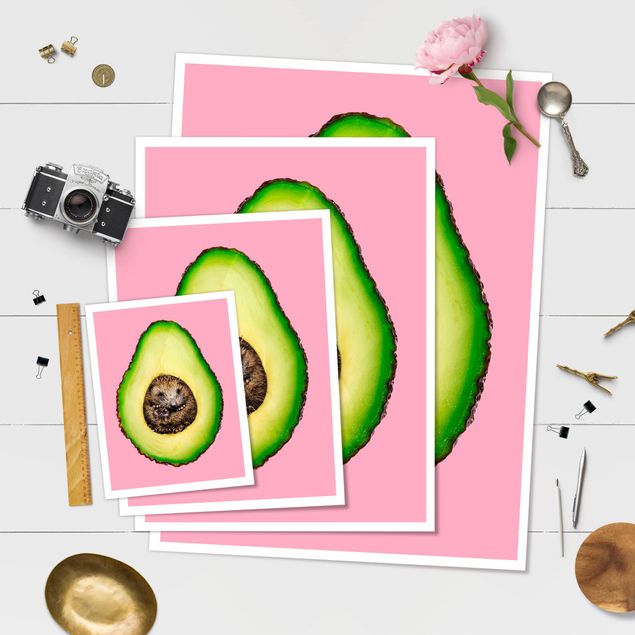 Plakater Avocado With Hedgehog