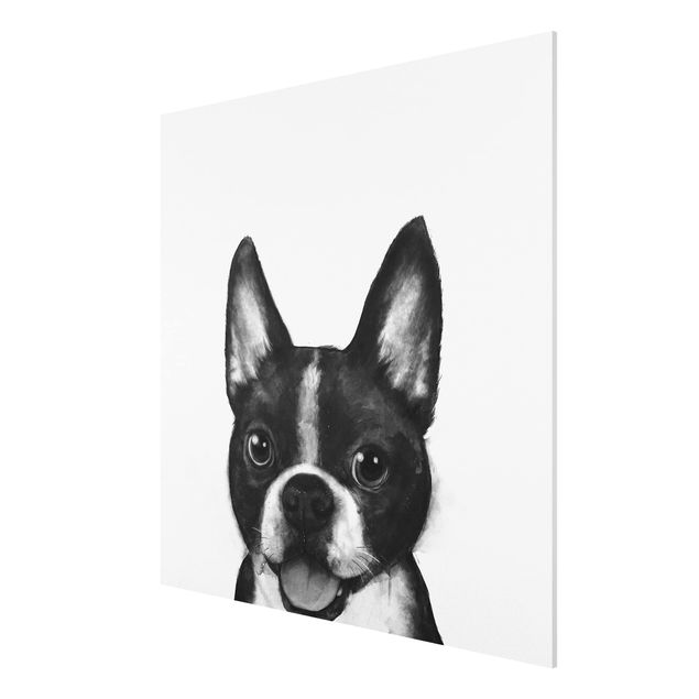Billeder kunsttryk Illustration Dog Boston Black And White Painting