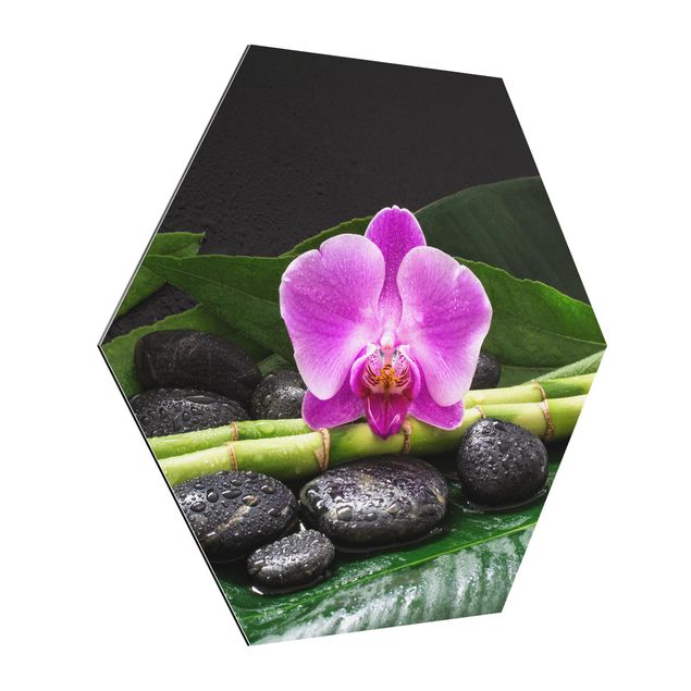 Billeder blomster Green Bamboo With Orchid Flower