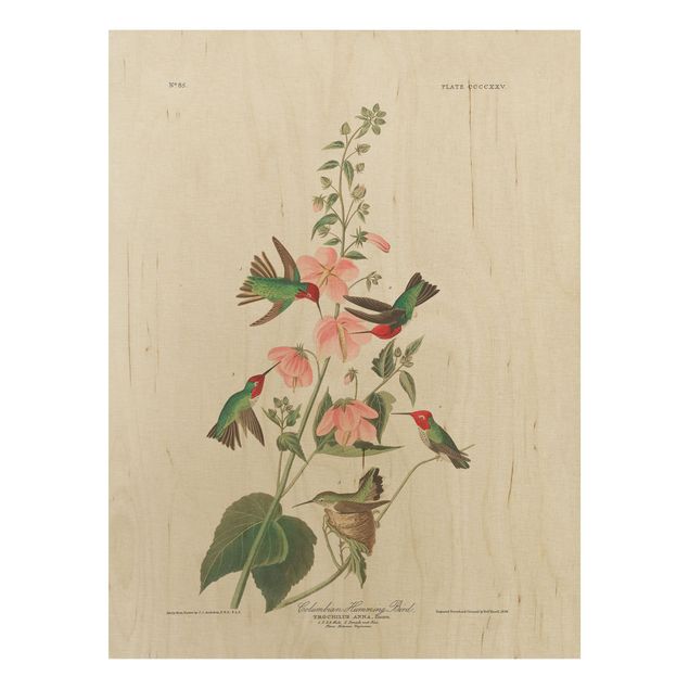 Prints på træ blomster Vintage Board Colombian Hummingbird