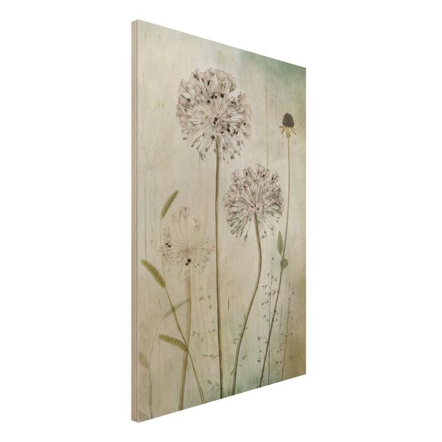 Prints på træ blomster Allium flowers in pastel