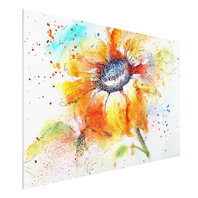 Billeder solsikker Painted Sunflower