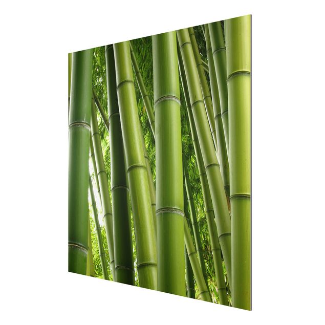 Billeder bambus Bamboo Trees No.1