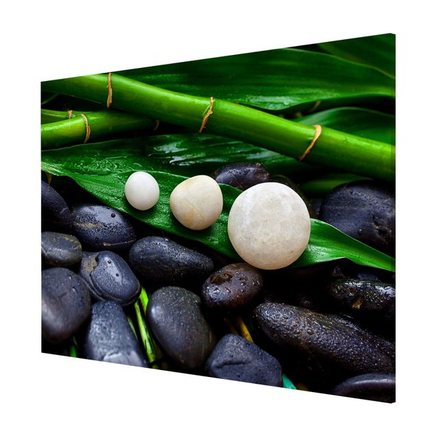 Magnettavler blomster Green Bamboo With Zen Stones