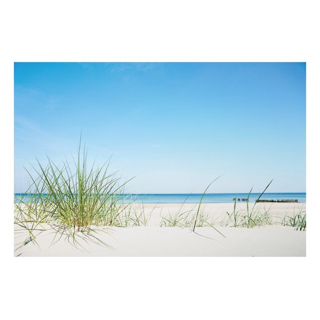 Billeder landskaber Baltic Sea Coast