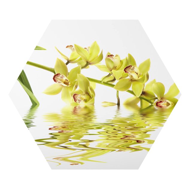 Billeder moderne Elegant Orchid Waters