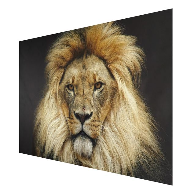 Billeder moderne Wisdom Of Lion