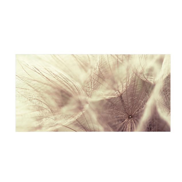 tæppe med blomster Detailed Dandelion Macro Shot With Vintage Blur Effect