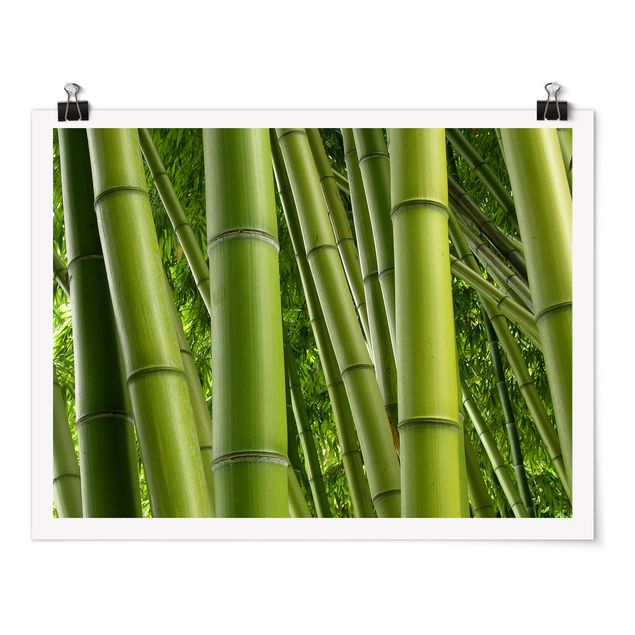 Plakater blomster Bamboo Trees No.2