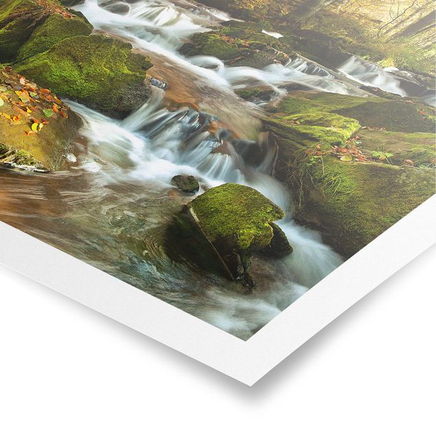 Plakater landskaber Waterfall Autumnal Forest