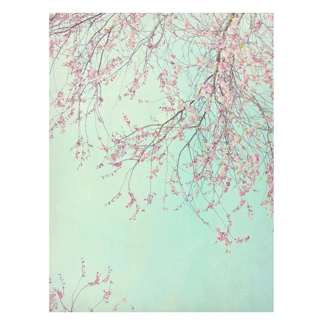 Magnettavler blomster Cherry Blossom Yearning