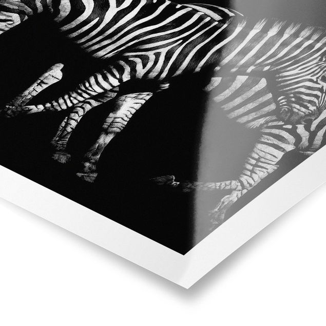 Billeder moderne Zebra In The Dark