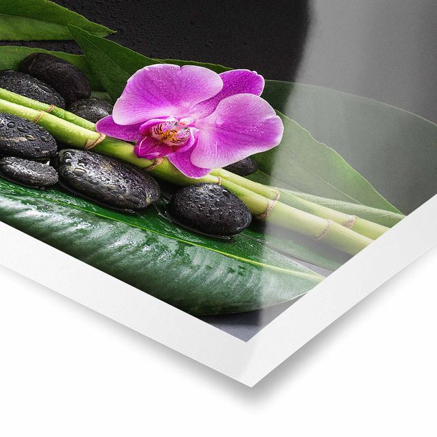 Plakater kunsttryk Green Bamboo With Orchid Flower