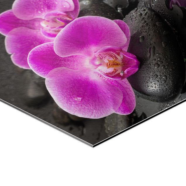 Billeder Pink Orchid Flower On Stones With Drops