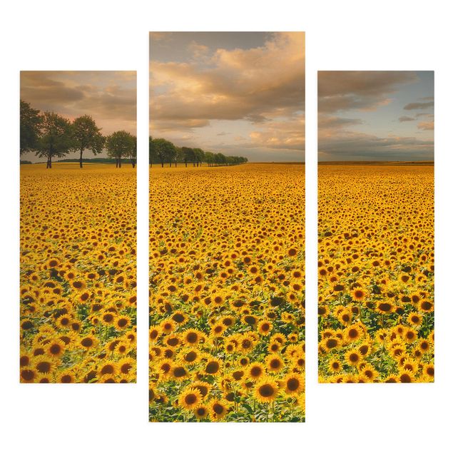 Billeder på lærred blomster Field With Sunflowers