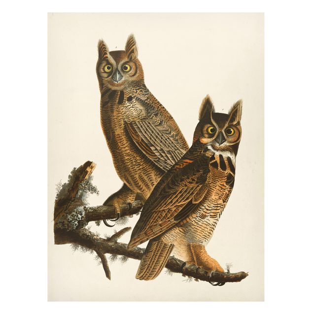 Magnettavler dyr Vintage Board Two Large Owls