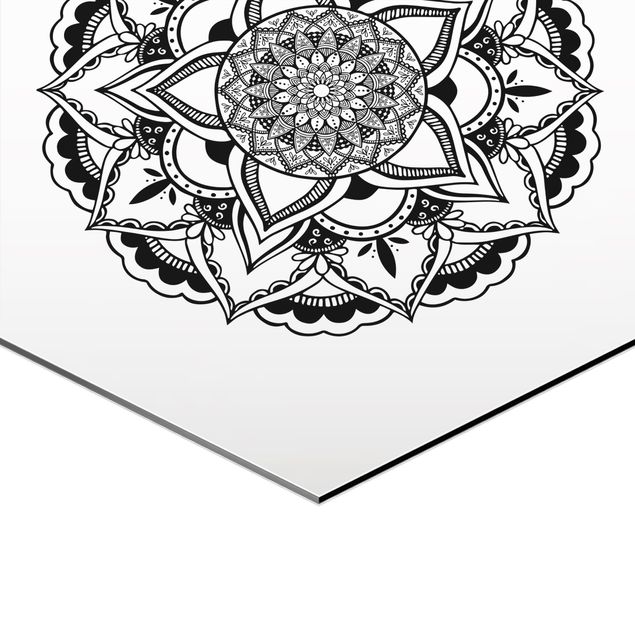Sekskantede billeder Mandala Flower Sun Illustration Set Black And White