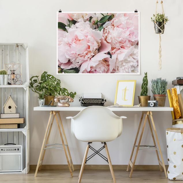 Plakater blomster Peonies Light Pink