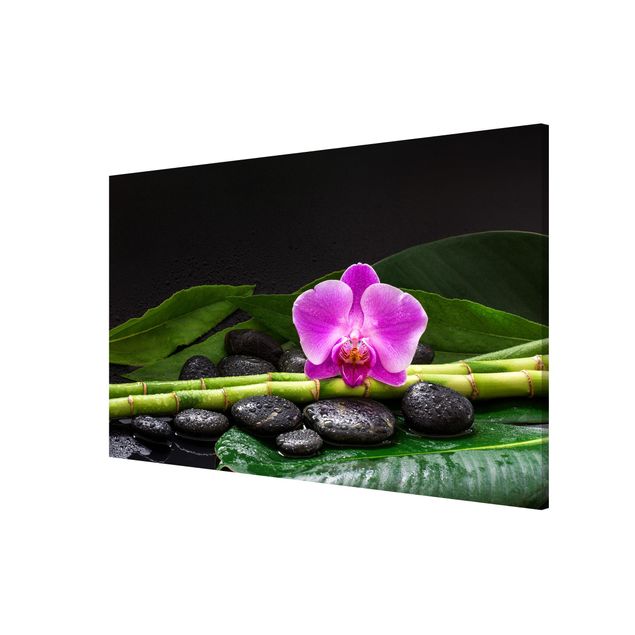 Billeder bambus Green Bamboo With Orchid Flower