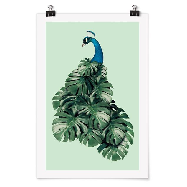 Plakater kunsttryk Peacock With Monstera Leaves