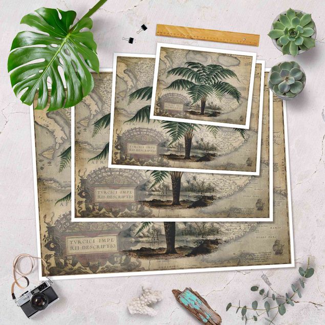 Billeder Vintage Collage - Palm And World Map