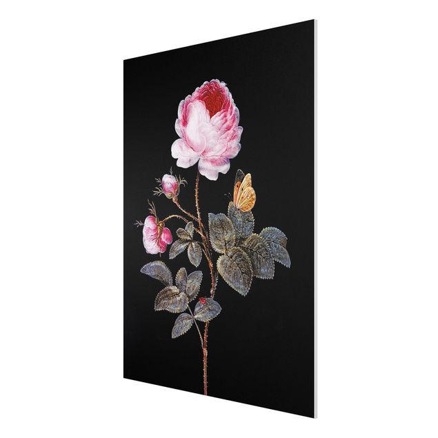 Kunst stilarter Barbara Regina Dietzsch - The Hundred-Petalled Rose