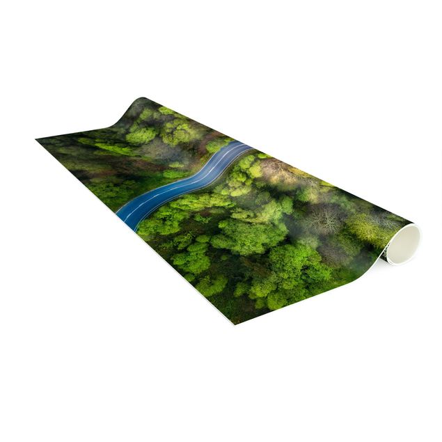Tæpper med skov Aerial Image - Paved Road In the Forest