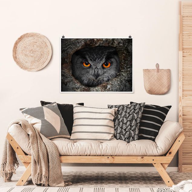 Plakater dyr Watching Owl