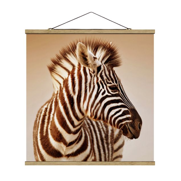 Billeder moderne Zebra Baby Portrait