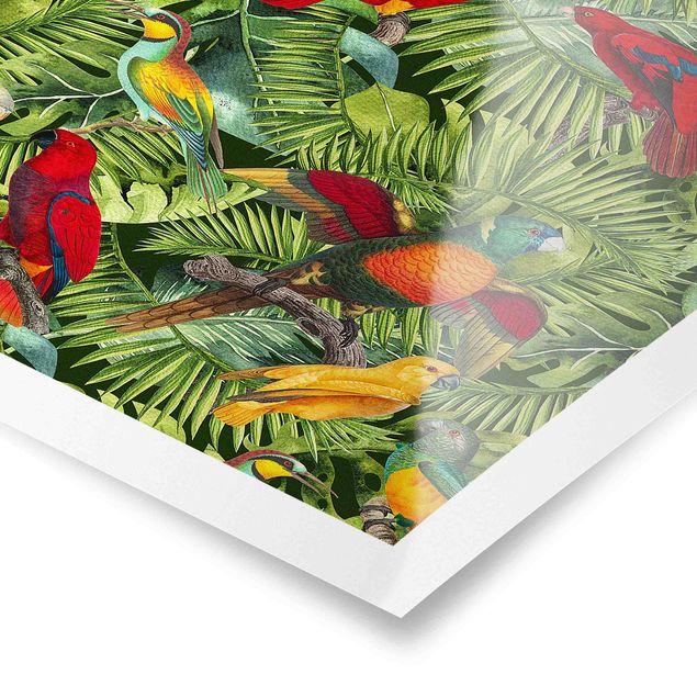 Billeder farvet Colourful Collage - Parrots In The Jungle