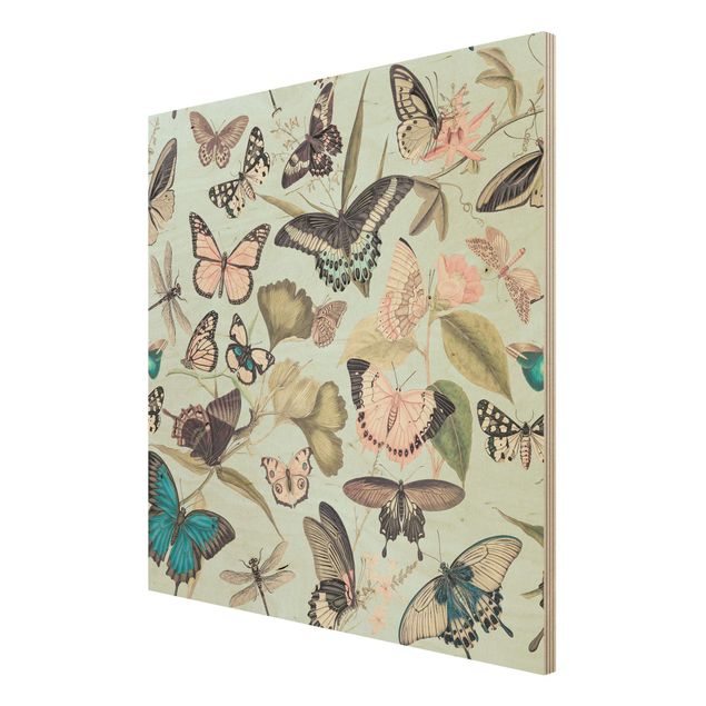 Prints på træ vintage Vintage Collage - Butterflies And Dragonflies
