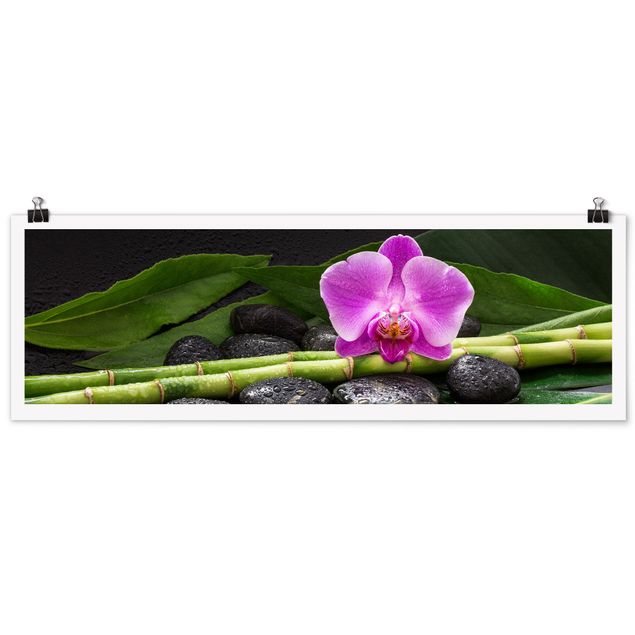 Plakater blomster Green Bamboo With Orchid Flower