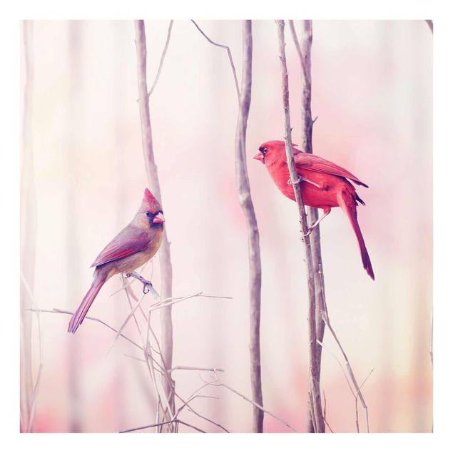 Billeder lyserød Birds on Branches