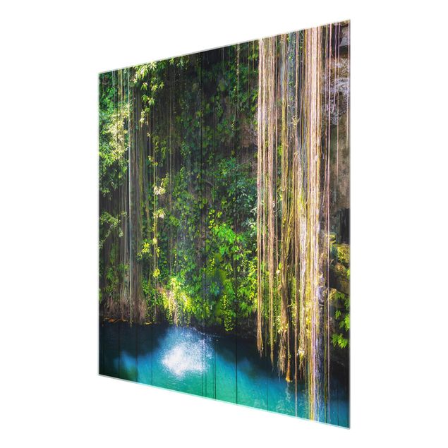 Glasbilleder vandfald Hanging Roots Of Ik-Kil Cenote